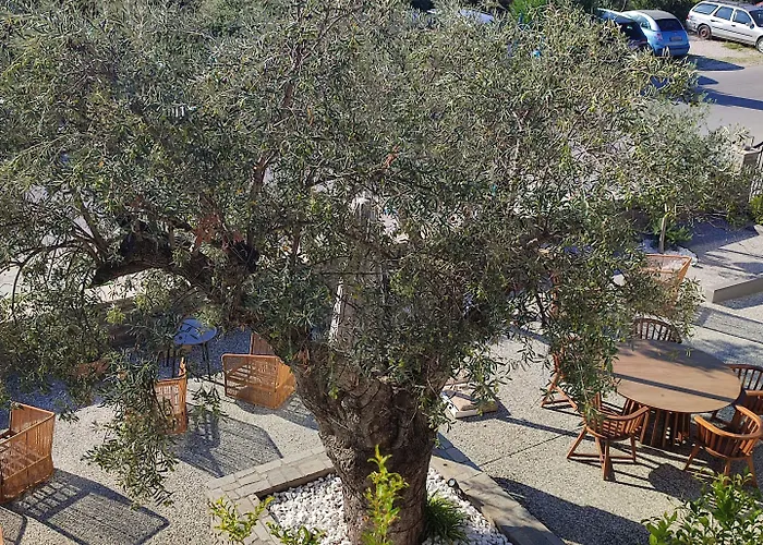 Ayia Marina Διαμέρισμα *