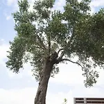 Ayia Marina * Ouranoupoli