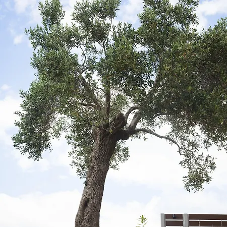 Ayia Marina * Ouranoupoli